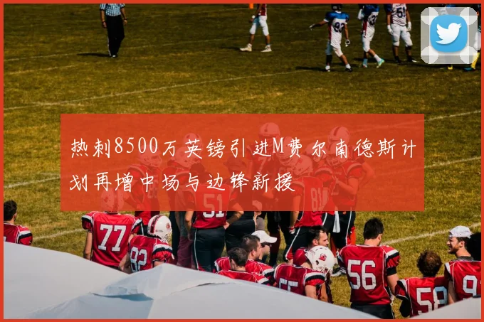 热刺8500万英镑引进M费尔南德斯计划再增中场与边锋新援