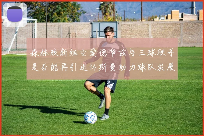 森林狼新组合爱德华兹与三球联手是否能再引进怀斯曼助力球队发展